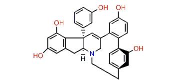 Haouamine B